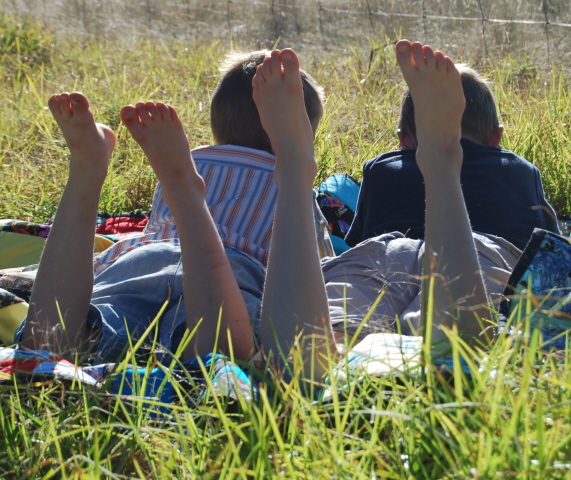 reader rabbit preschool freeware