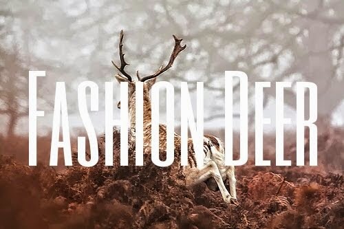 Fashion Deer 