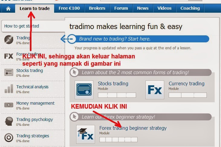 Trading forex untuk hidup