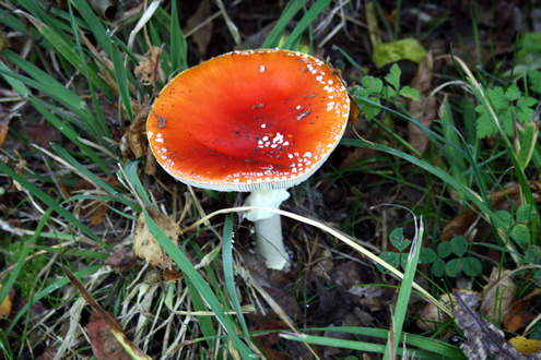 Herfst Achterhoek Herfst Achterhoek