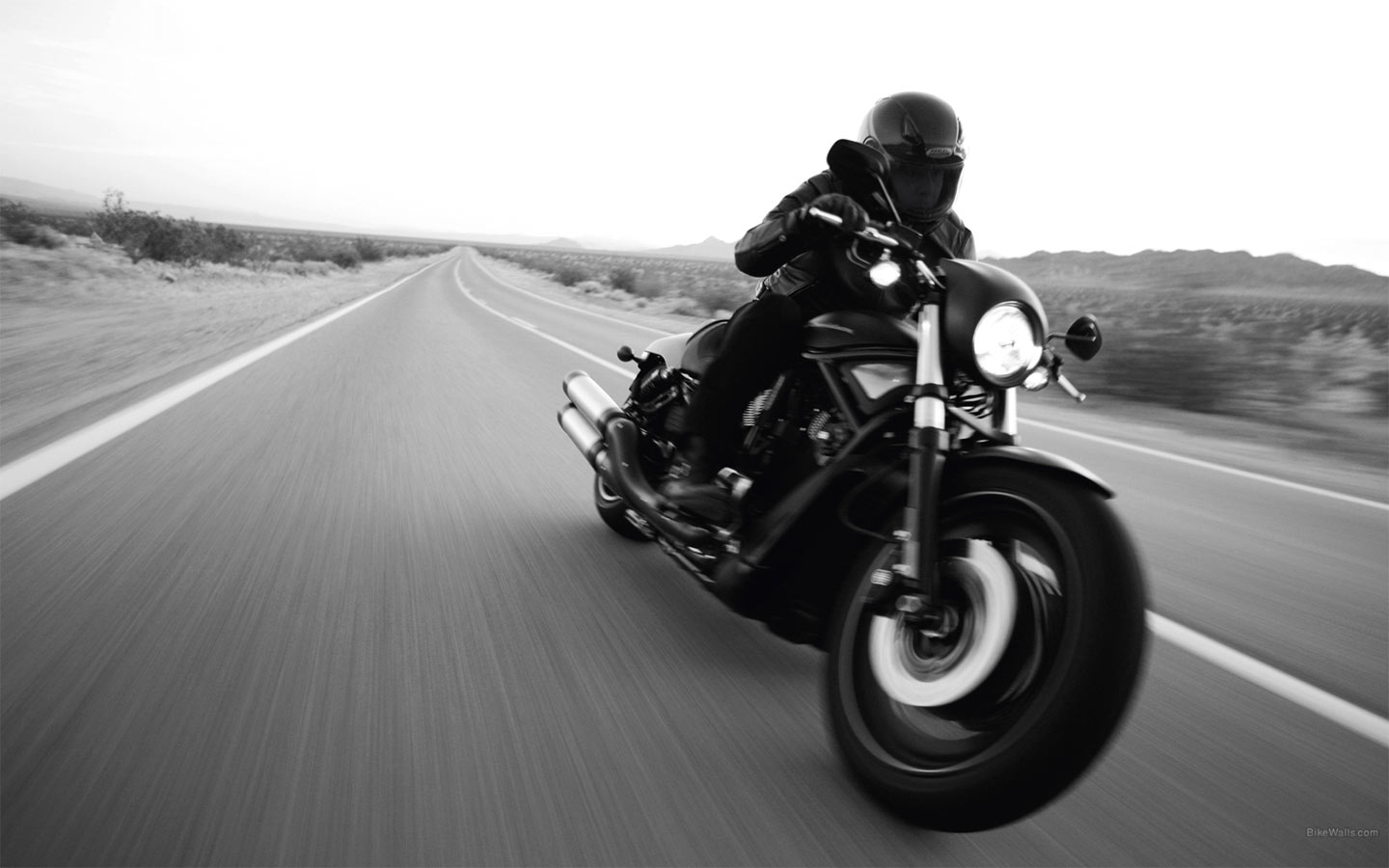VRSCDX Night Rod Special VRSCDX Night Rod Special