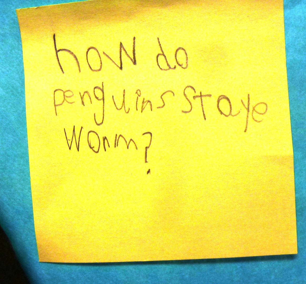 Tunstall's Teaching Tidbits: Penguins and Polka Dots