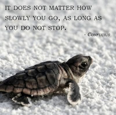 funny confucius quotes funny quotes about life about friends and funny confucius quotes funny quotes about life about friends and