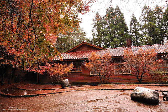 [台中] 福壽山農場松盧秋楓