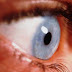 شكل خلايا في العين "يلعب دورا" في تصنيف الألوان