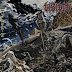 Divided - To Have Nothing 2012