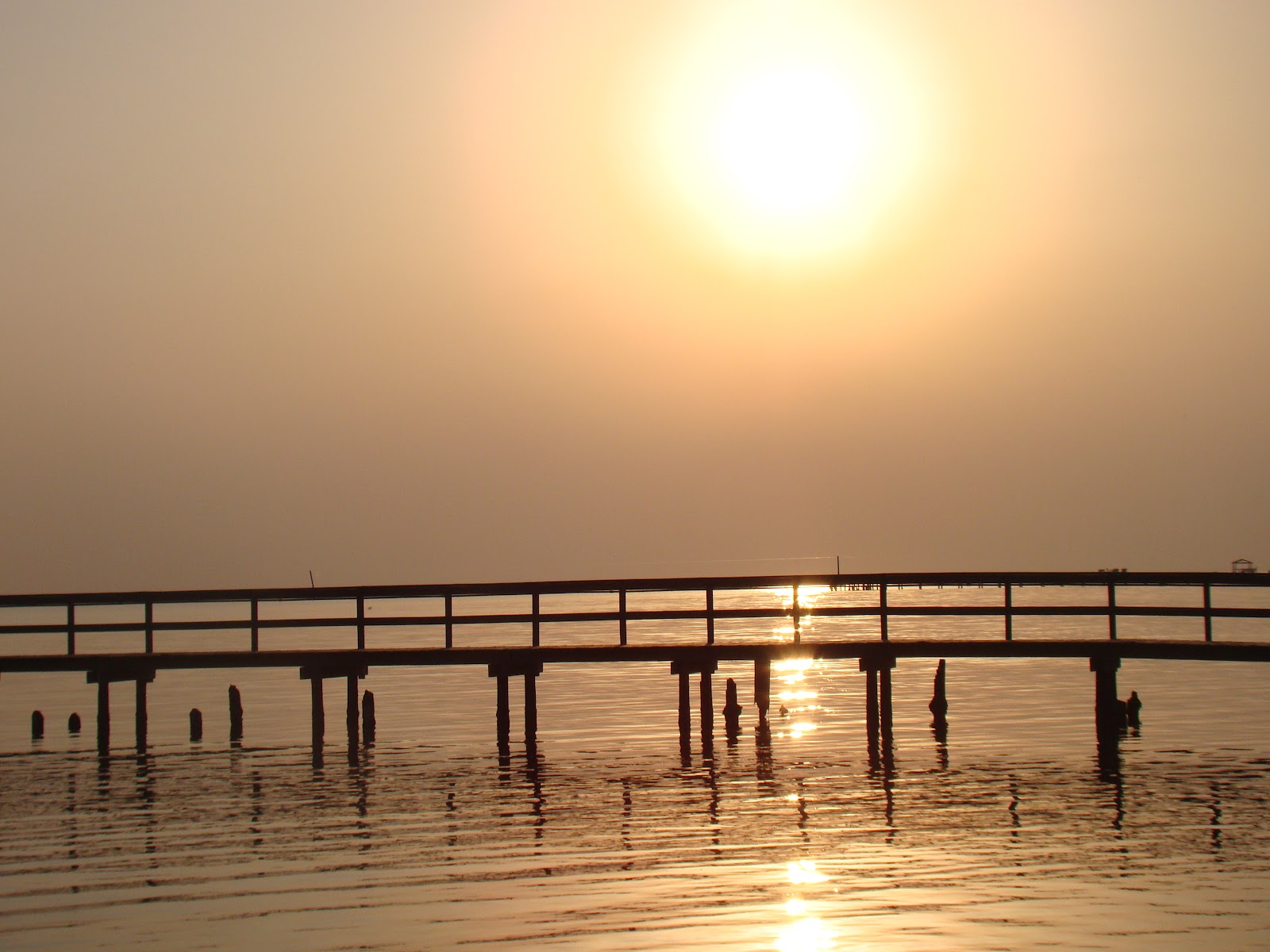 Pine Island, Florida Things to Do on Pine Island, Florida