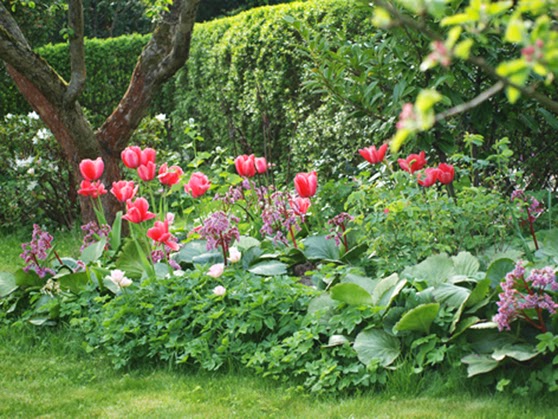 Haveplaner og plantebegejstring: fra skvalderkÃ
l til blomsterbed