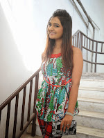 Neha deshpande Photos at Dil Diwana press meet-cover-photo