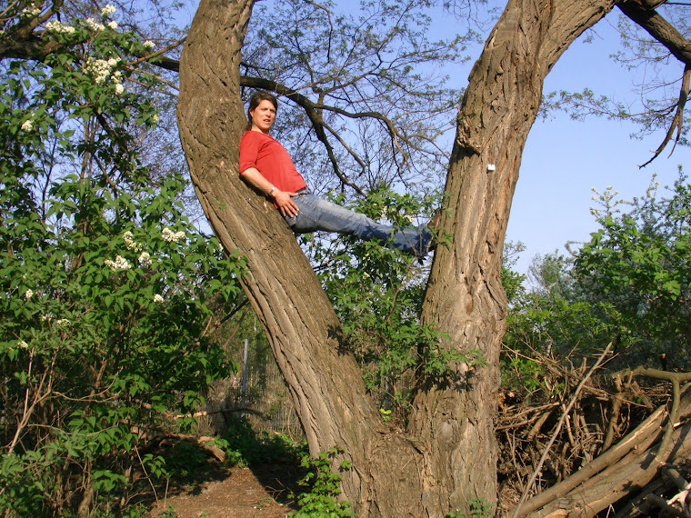 Katja Echterbecker demonstrates how to climb a V-shaped tree we titled Mittelaltern Tree in Gleisdr