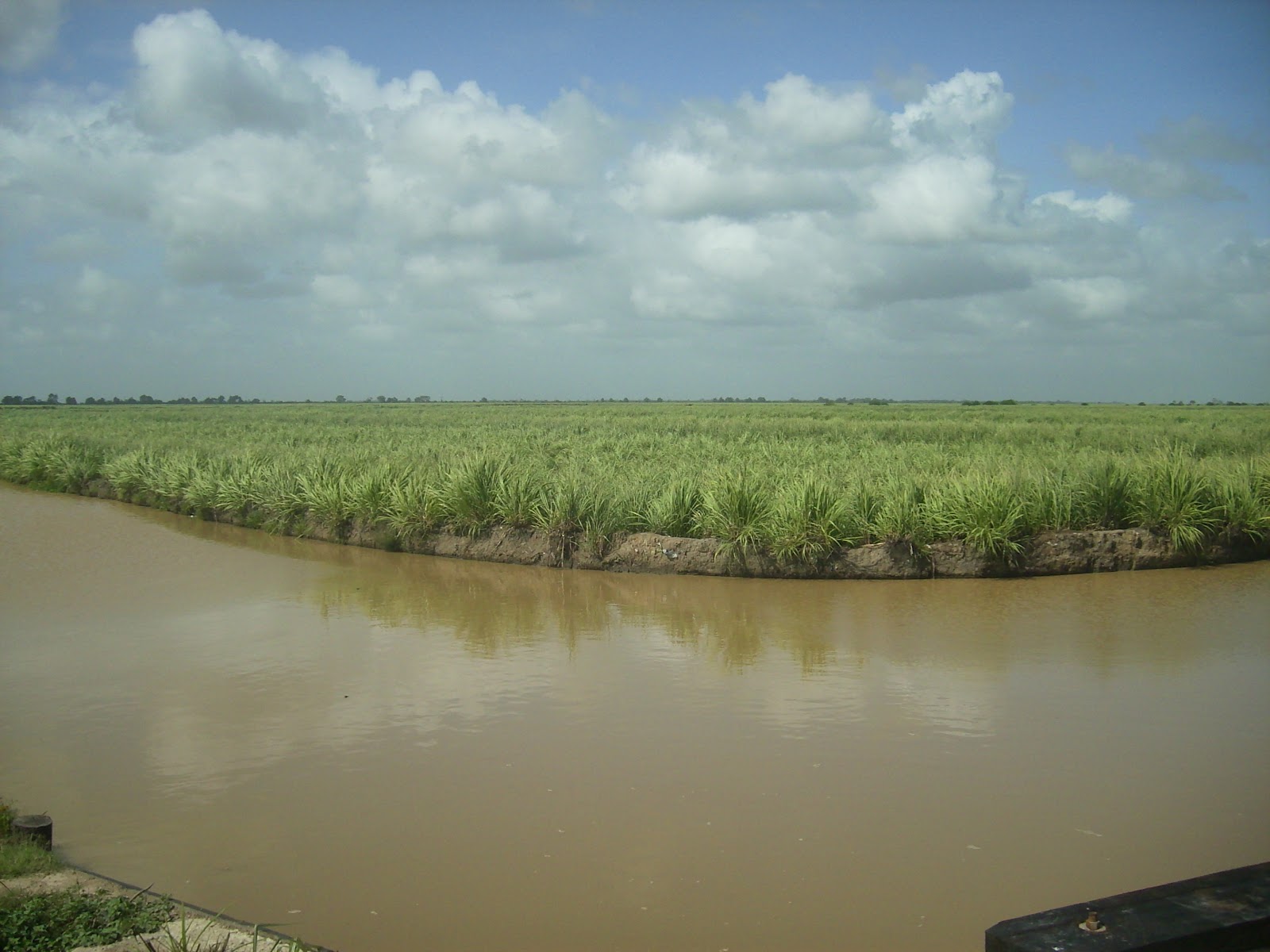 Adventures in Guyana A Pioneer's Paradise