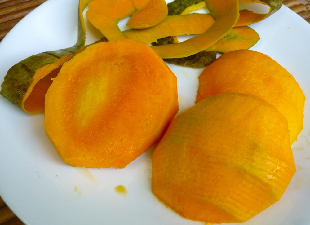 Looking for the wild