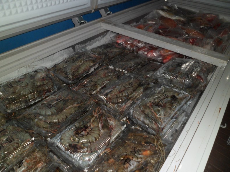 UDANG KERRANG PDF DOWNLOAD UDANG KERRANG PDF DOWNLOAD