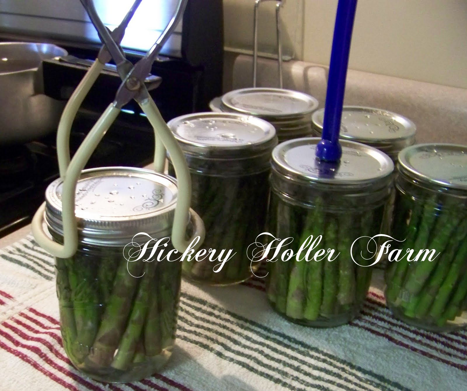 Tall Canning Jars For Asparagus at Kathy Balls blog