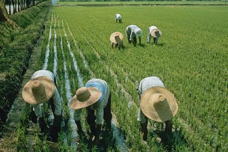 ASIA ORIENTAL : ECONOMIA