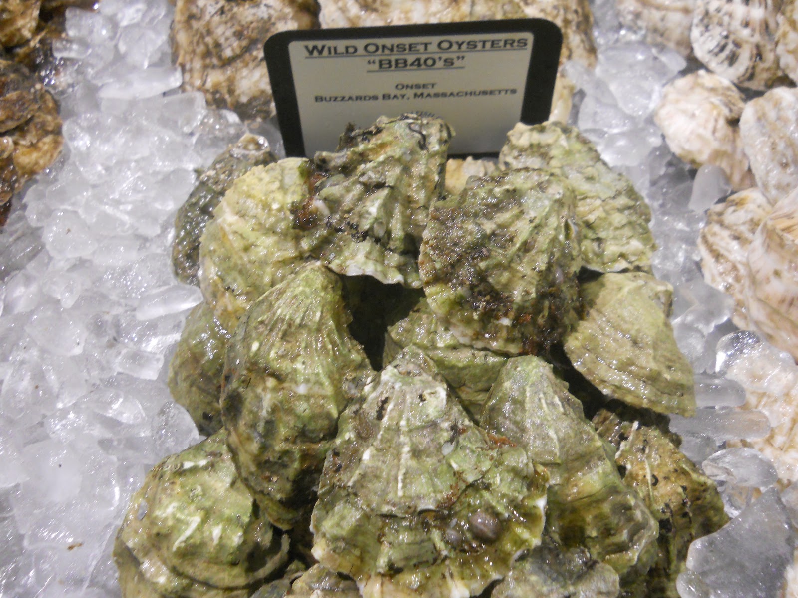 Massachusetts Oyster Project Boston Seafood Show Rocks! Shucking