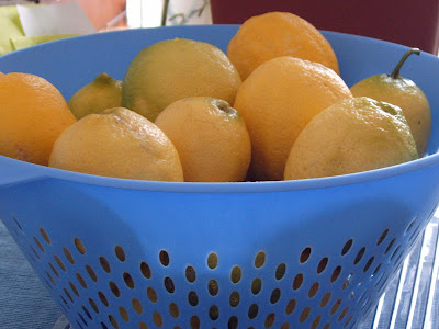 marmellata-fatta-in-casa