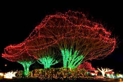 christmas light decoration ideas style 2015 for home christmas light decoration ideas style 2015 for home