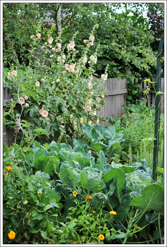 INNENANSICHTEN: Rainy Day