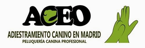 ACEO Madrid