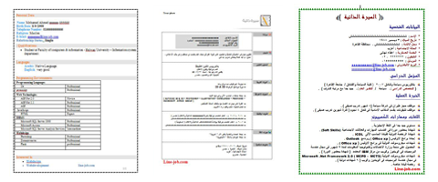 نماذج السيرة الذاتية Cv باللغتين العربية والإنجليزية تحميل مباشر