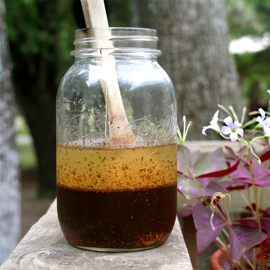 Grilled Chicken Marinade The Two Bite Club