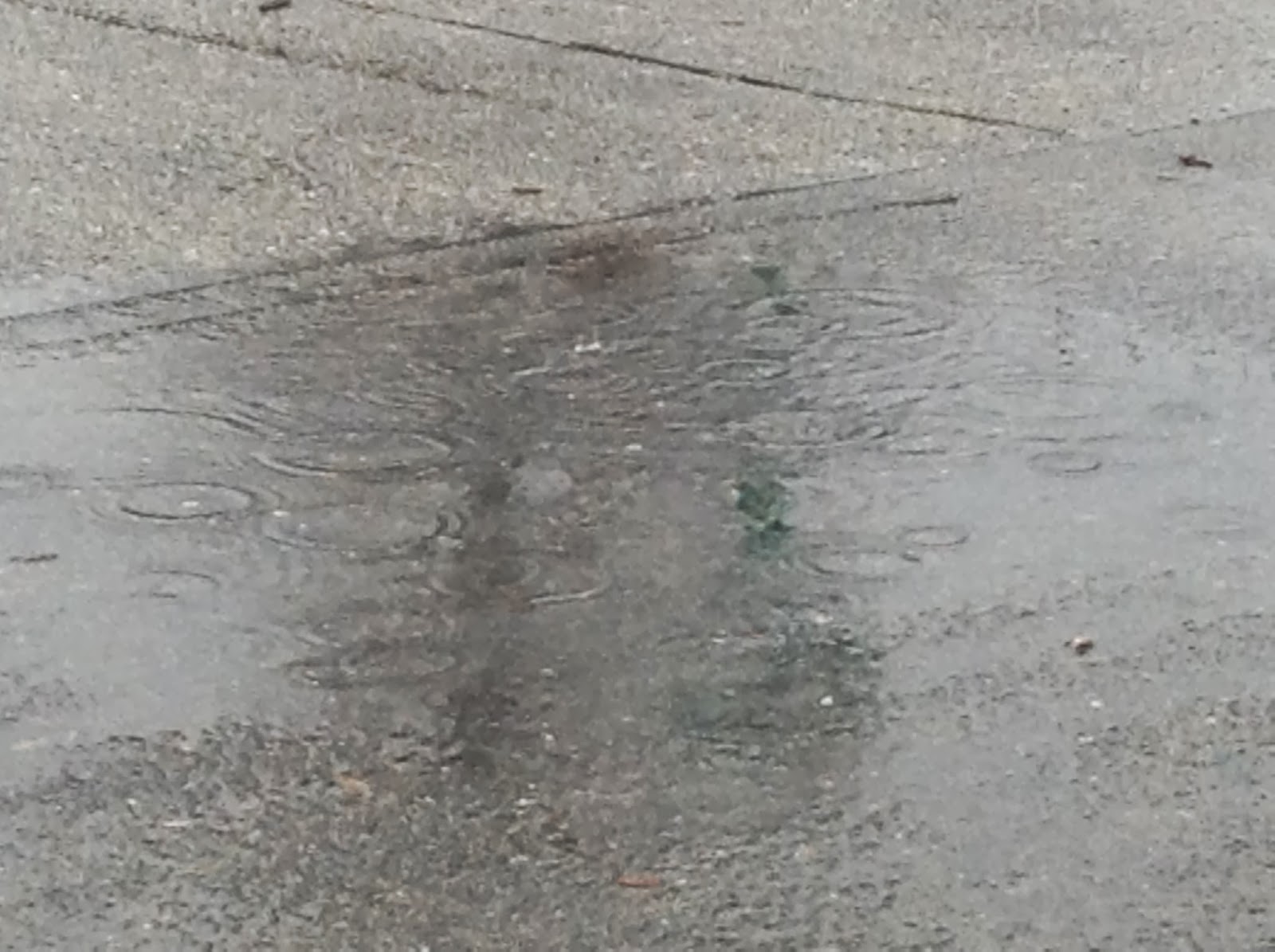 water cycle simulation in grades 2&3 Mathematics and Science in SD38