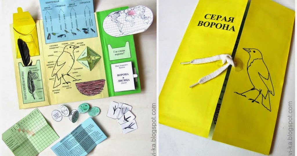 Книжка раскладушка по математике Книжка раскладушка по математике