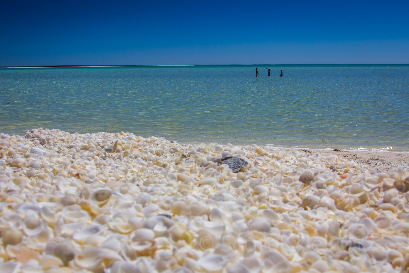 The Kyle family trip Denham & Monkey Mia