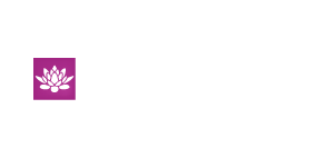 <b>ZEN</b>DRIVING