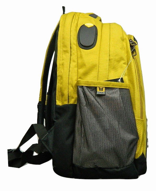 liviya bags amazon