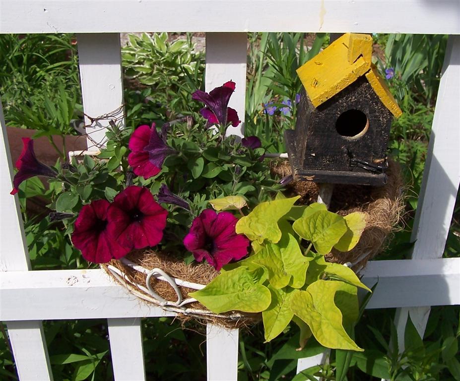 Kućice za ptice - Page 2 Added+birdhouse+to+arbor+planter+%2528Medium%2529