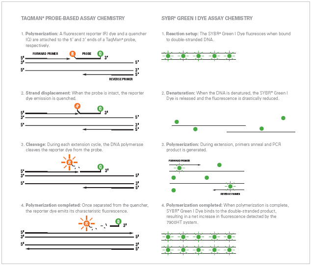 BioResource TaqMan Assay Vs SYBR Green Assay