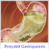 Obat Gastroparesis Tradisional