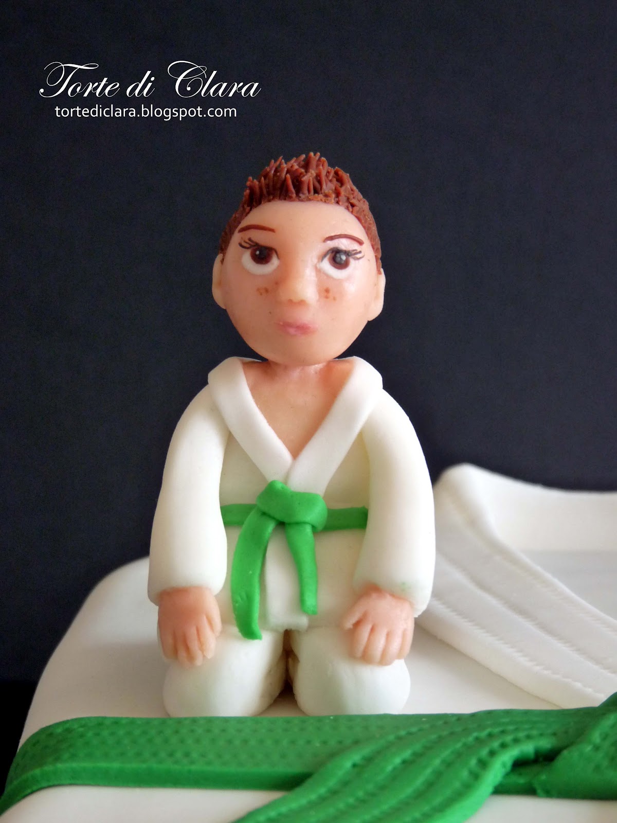 Judo Cake