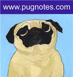 Pug Notes