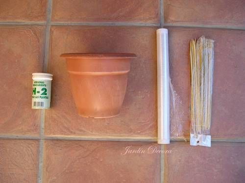 esquejes-hortensias-pasos-materiales hormonas-enraizantes-maceta-plástico-brochetas