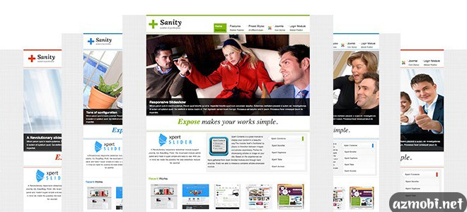 Sanity - Clean Business Joomla 2.5 Template