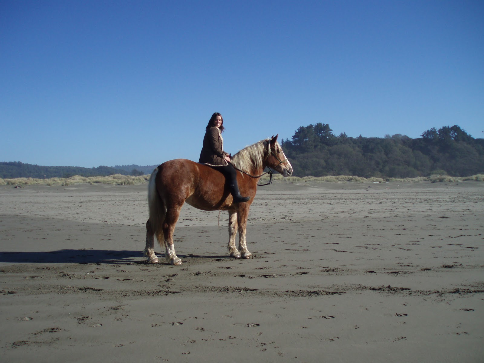 Jackson Hill Horsey Girl The First Ride