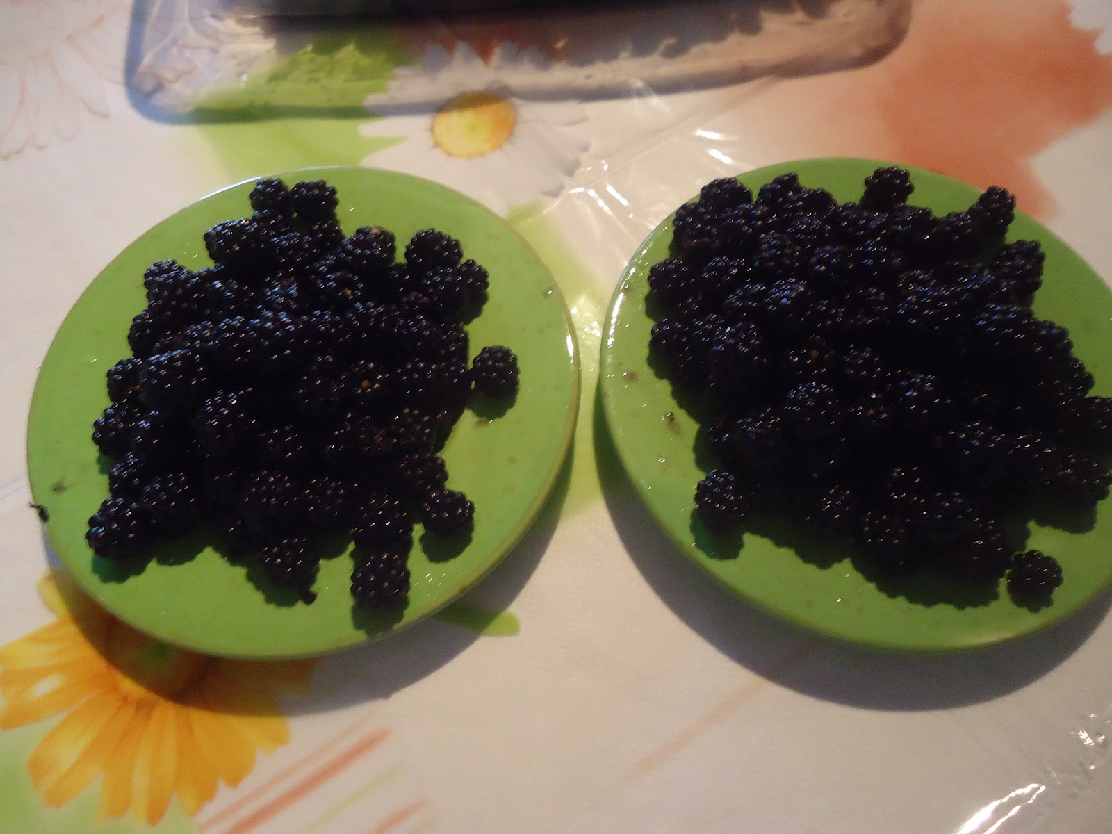 A minha Horta Biológica Amoras Silvestres