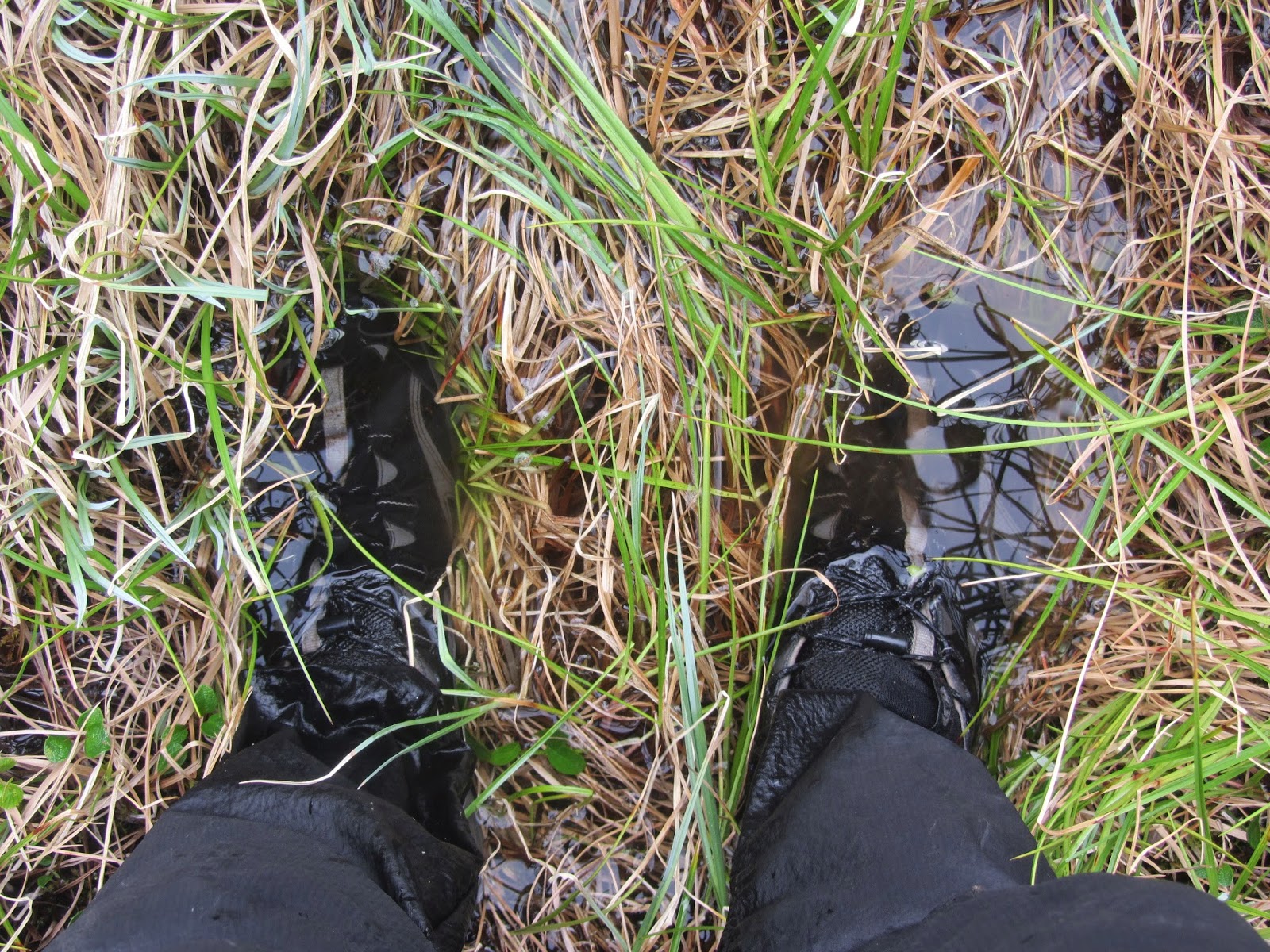 Brooks Range gear reflections on stove and footwear
