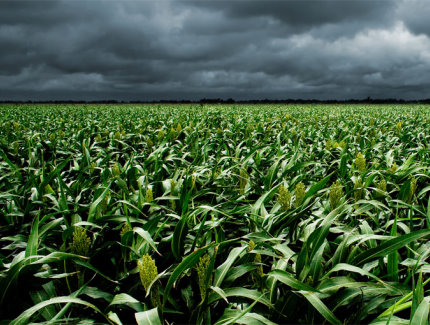 biomass benefits