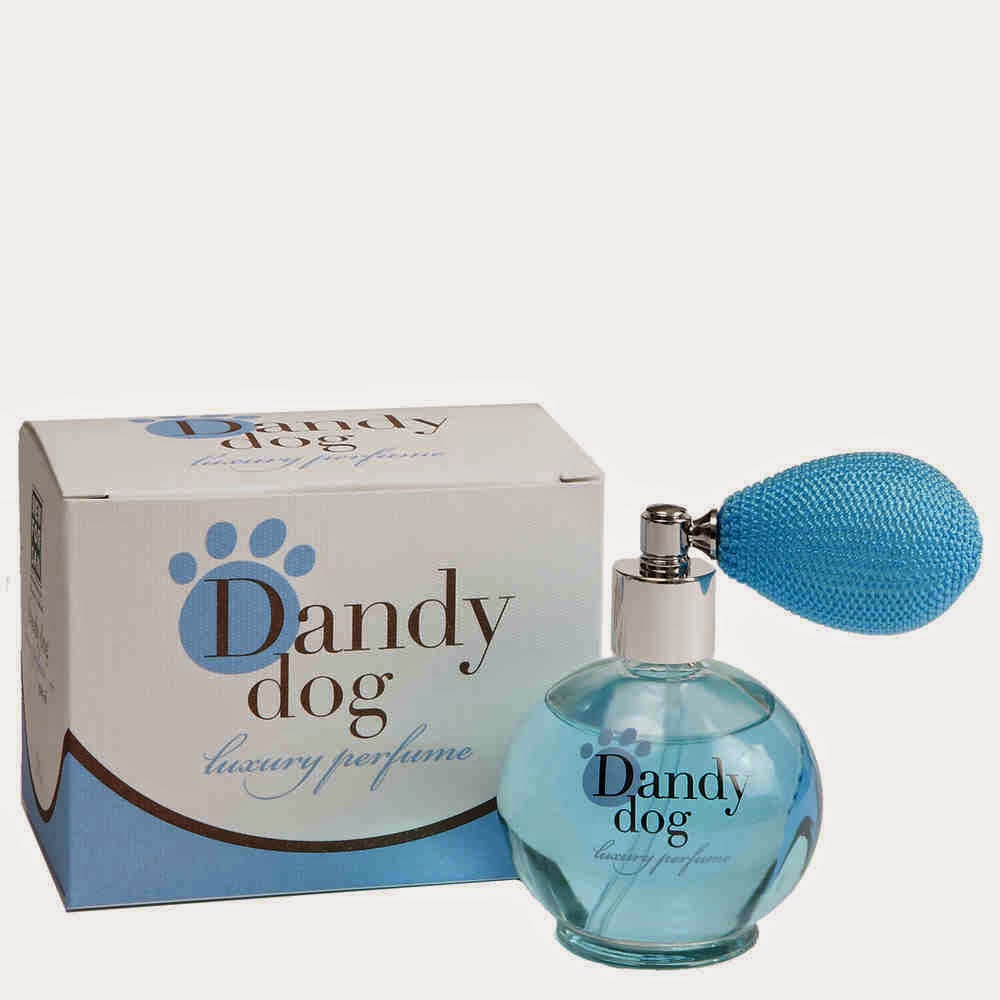 Top 10 Surprising Pet Inventions Most Beautiful