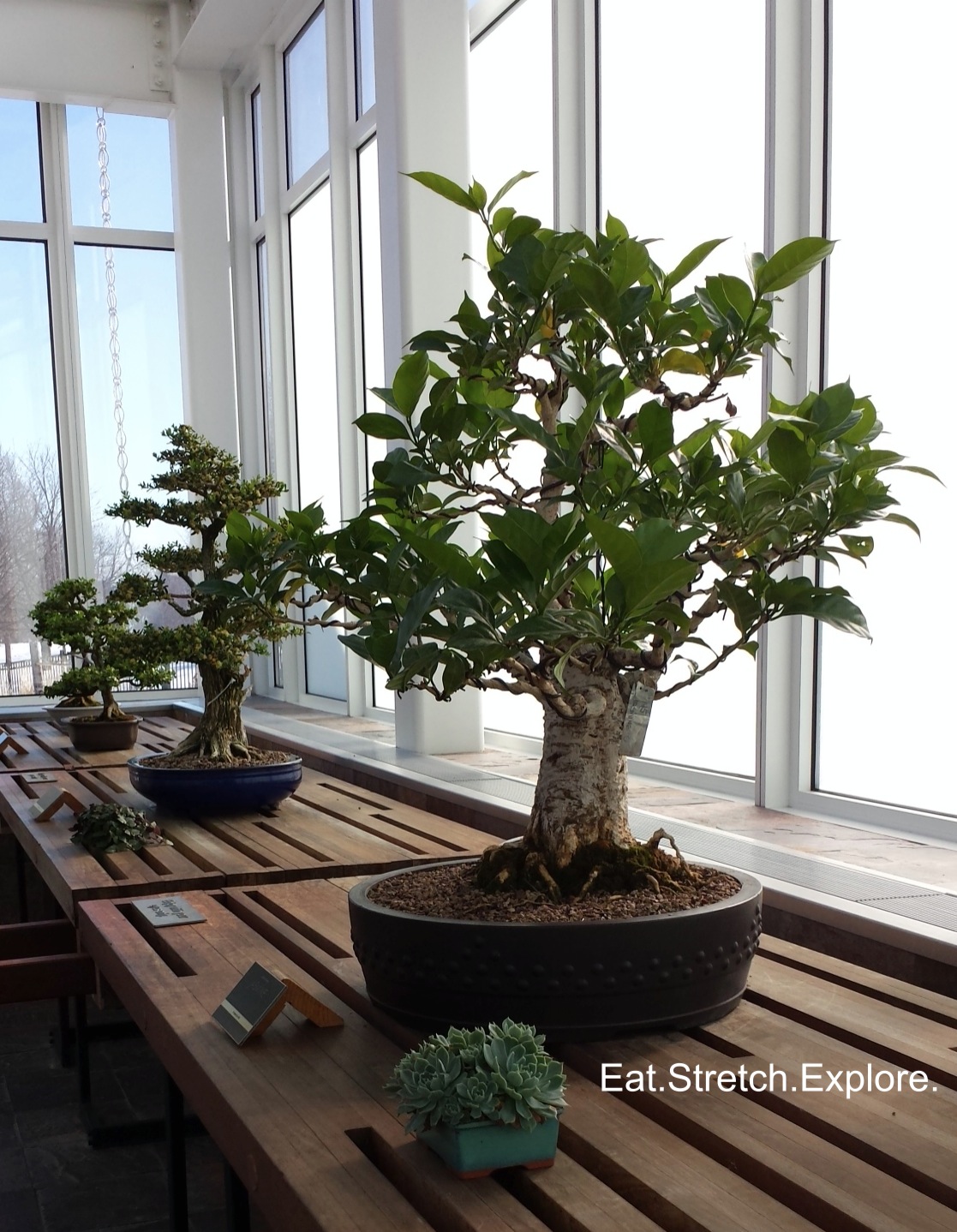 [Saint Paul, Minnesota] Como Park Zoo and Conservatory Sunken Garden