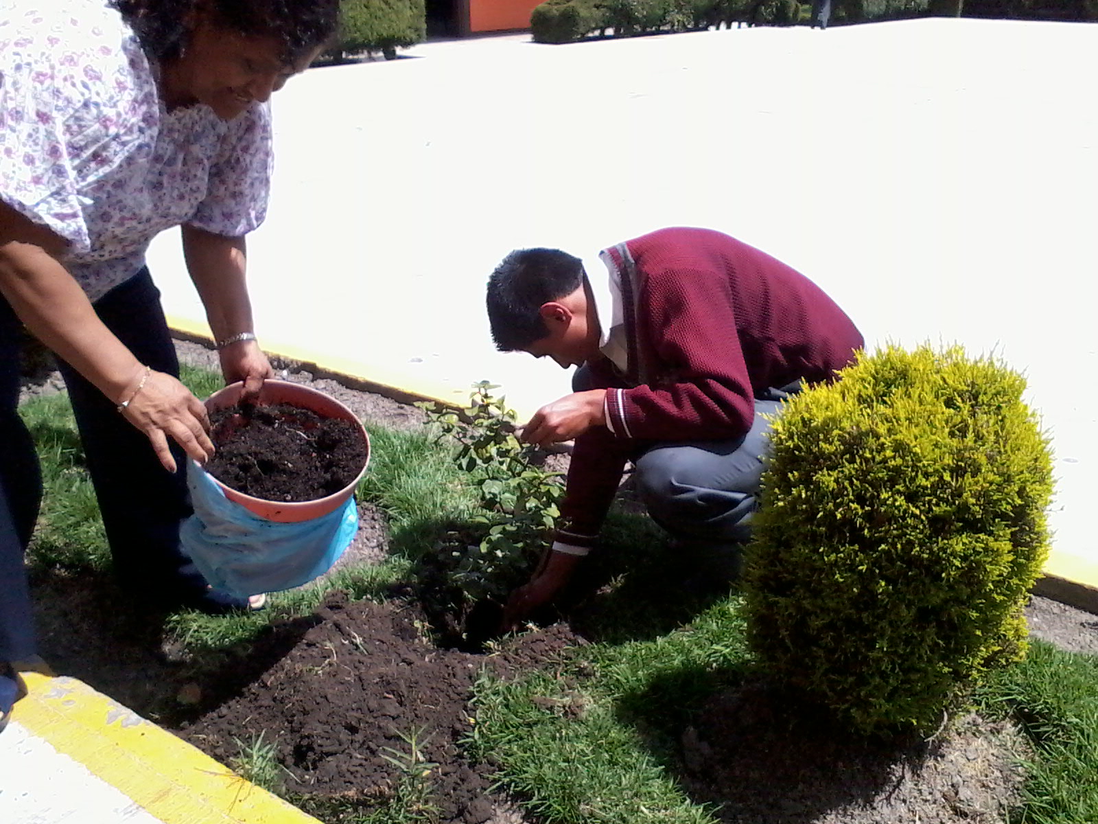 CUIDADO DE AREAS VERDES | Secundaria Tecnica No. 67 CUIDADO DE AREAS VERDES | Secundaria Tecnica No. 67