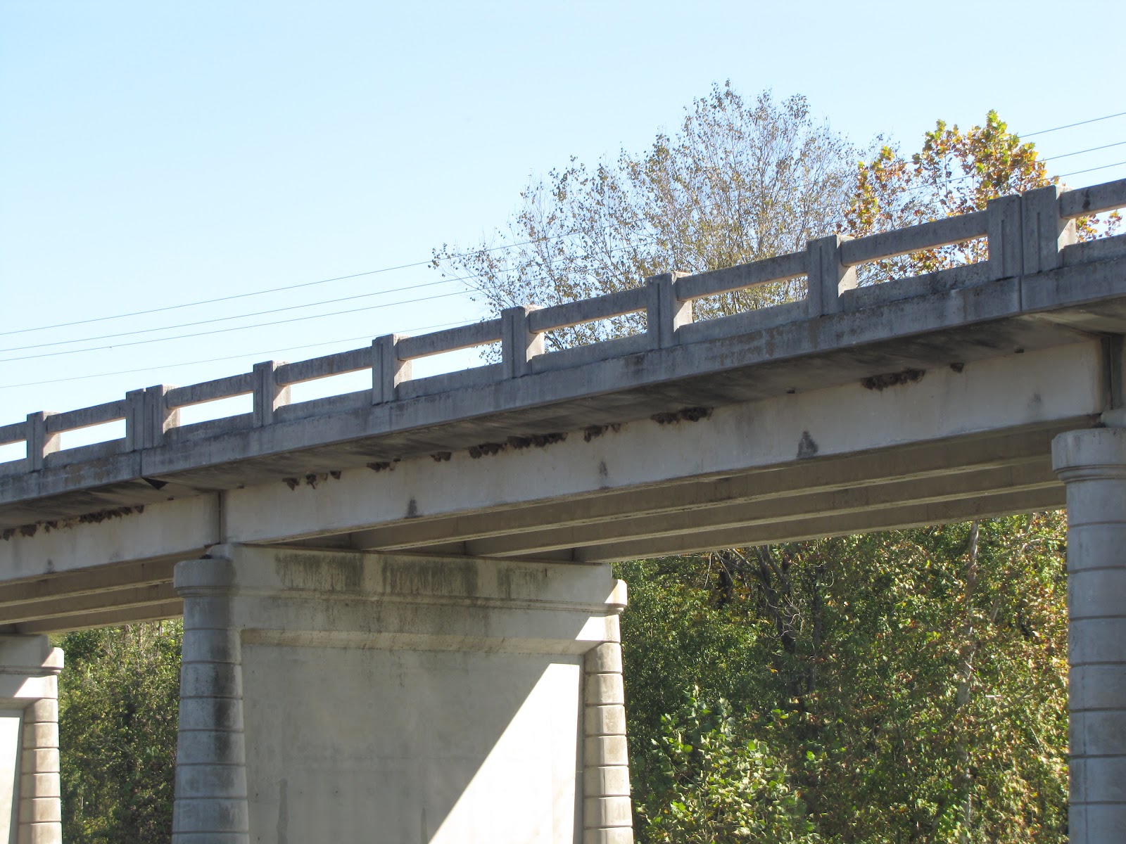 What Birds Build Nests Under Bridges at Jose Jacobs blog