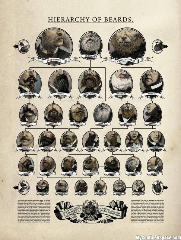 Hierarchy of Beards