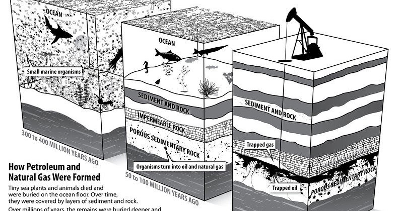 What Is The Formation Of Oil And Natural Gas What Is The Formation Of Oil And Natural Gas