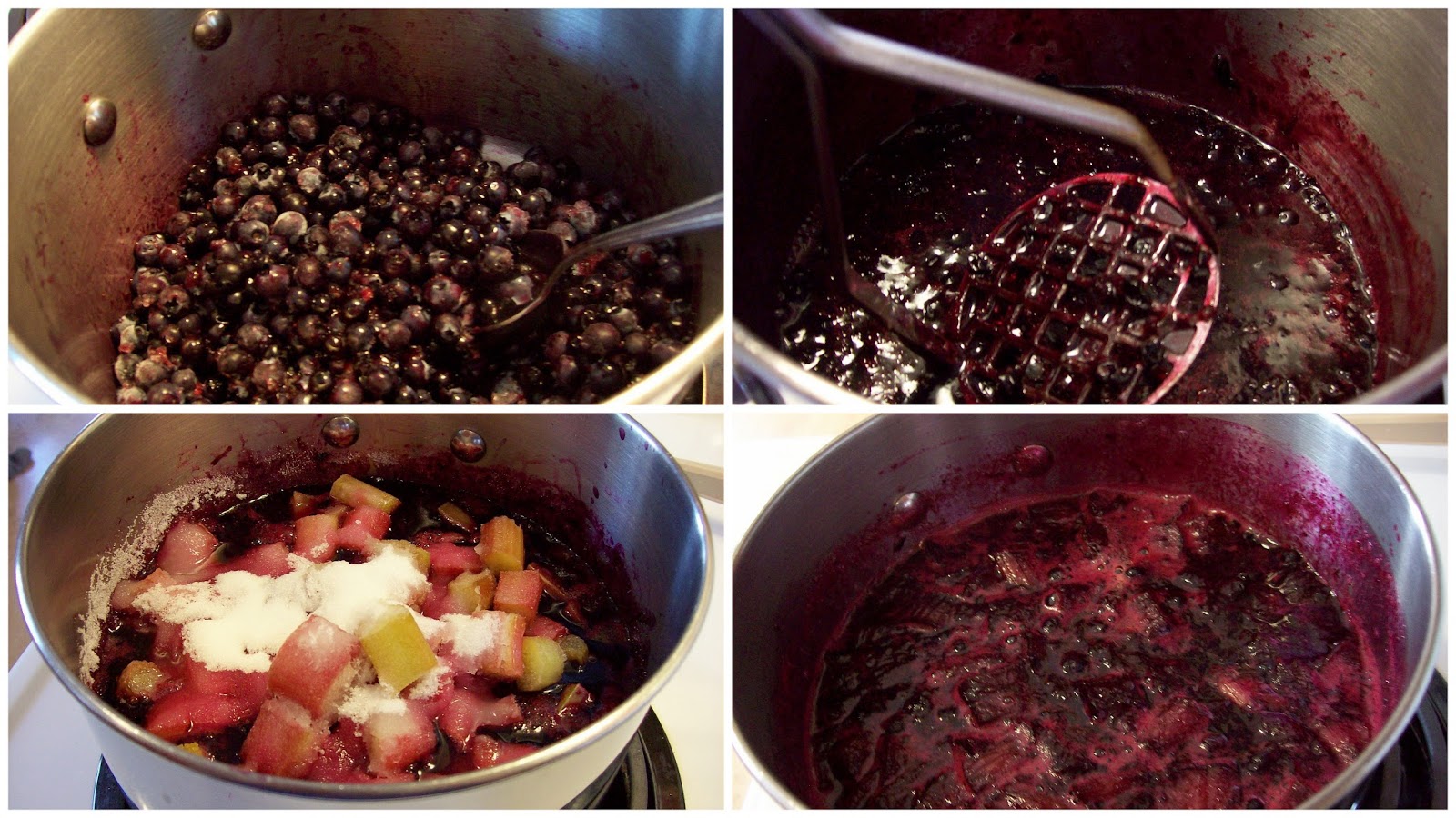 Blueberry Rhubarb Juice Concentrate