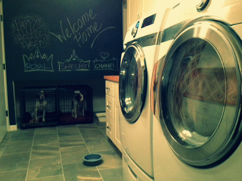 la mauvaise rencontre josee dayan